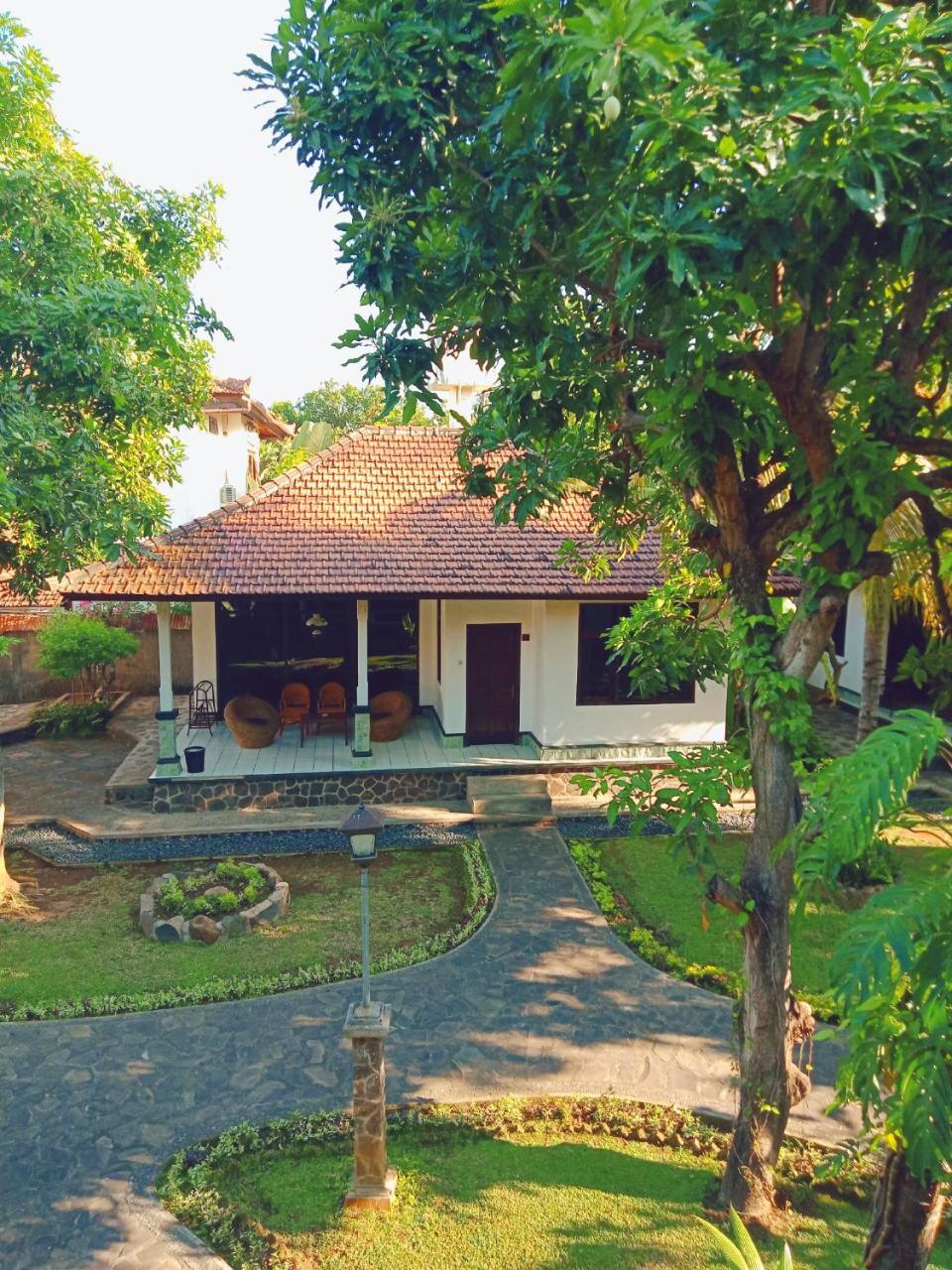 Rini Hotel Lovina Dış mekan fotoğraf