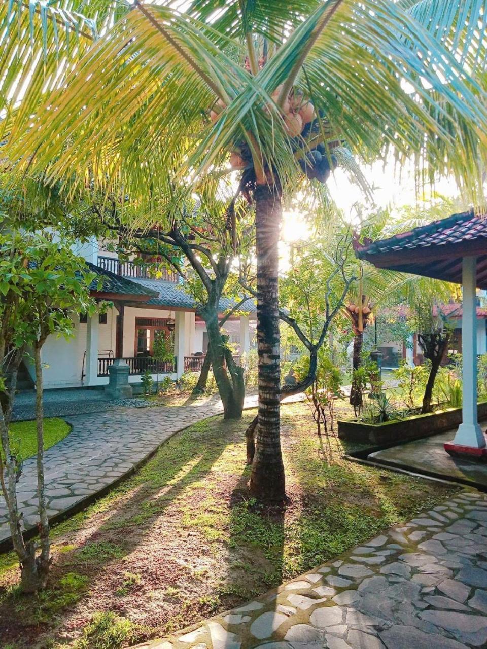 Rini Hotel Lovina Dış mekan fotoğraf