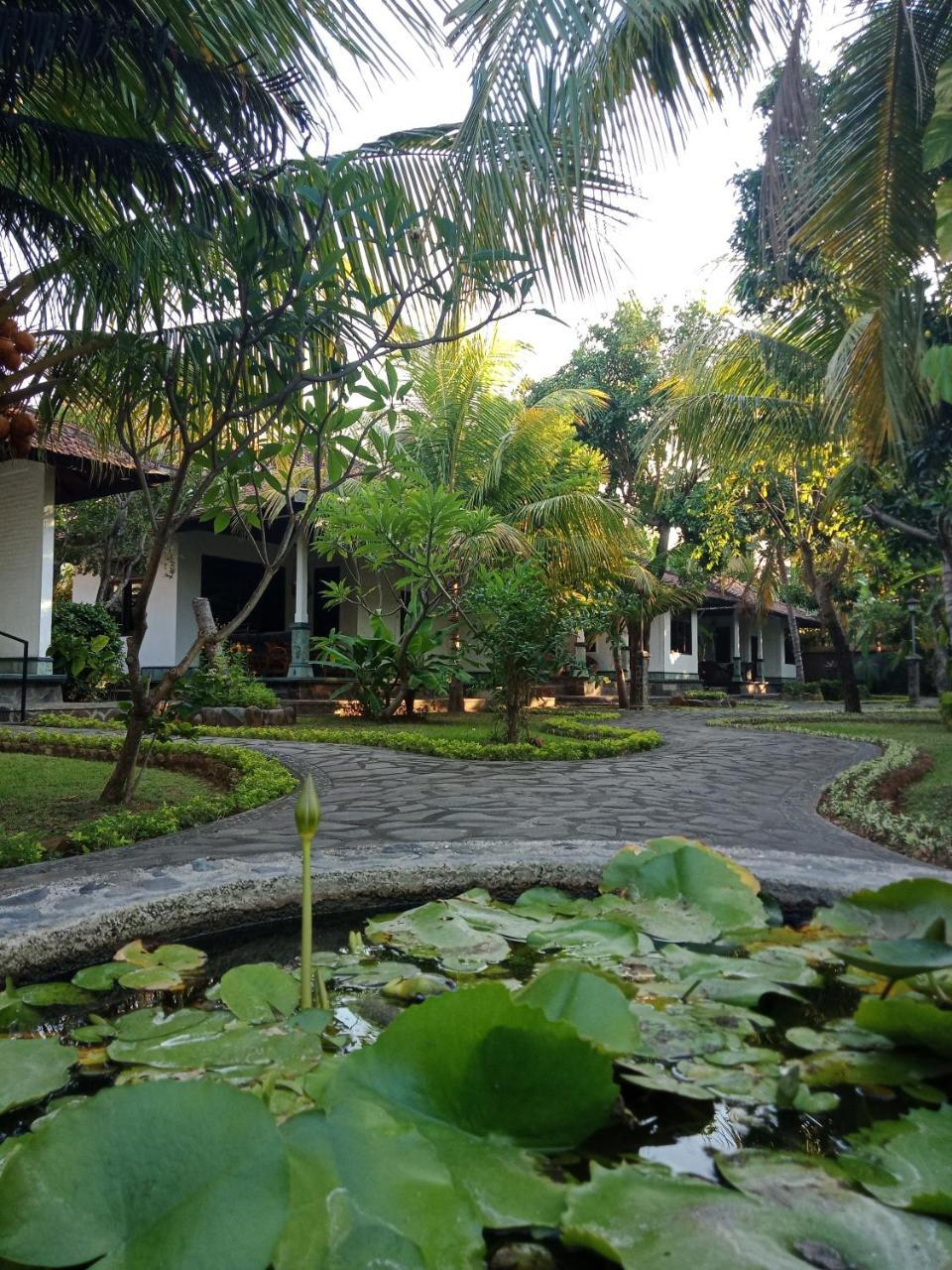Rini Hotel Lovina Dış mekan fotoğraf