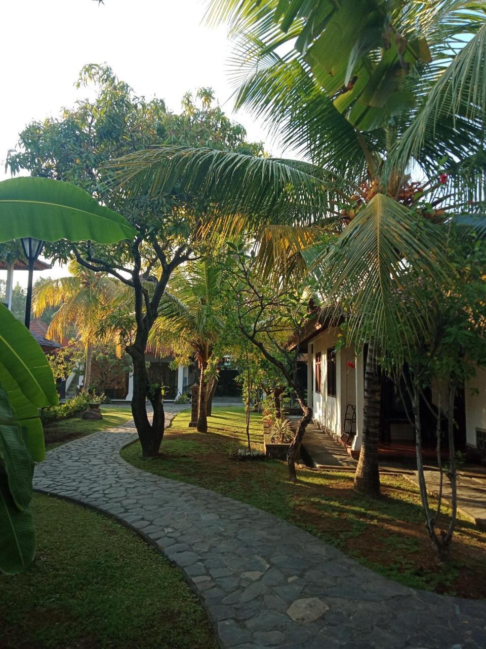 Rini Hotel Lovina Dış mekan fotoğraf